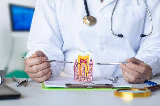 Best Emergency Denture Repair in Frenchtown, NJ